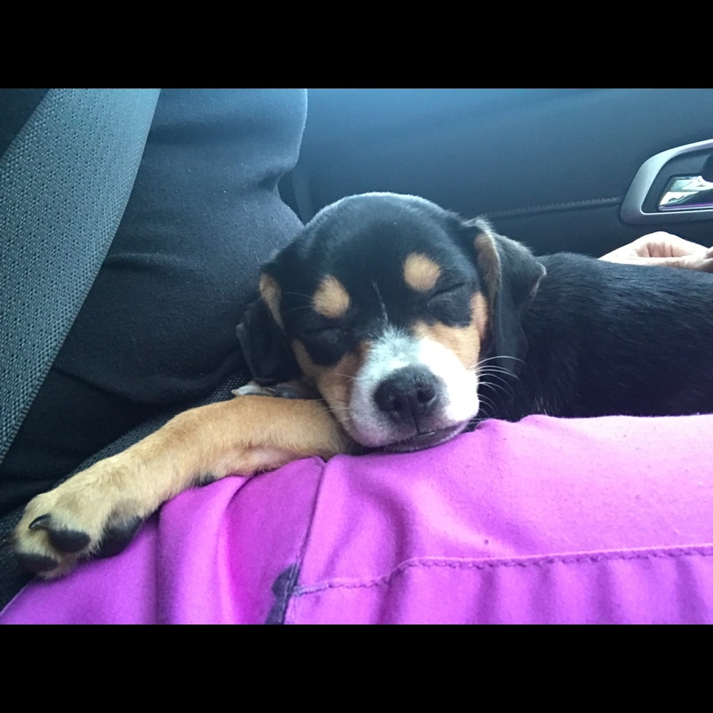 Meet your Posher, Ruth